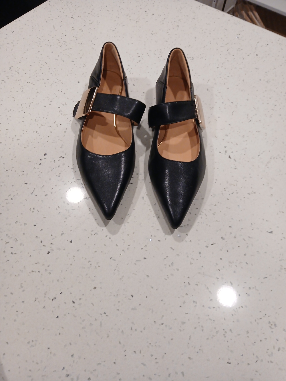 Black Pointed  Flats with Gold Buckle